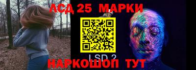 дмт Кингисепп
