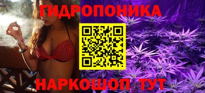 кокс Кинель