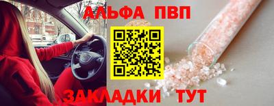 дмт Кингисепп
