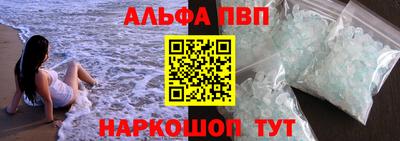 дмт Кингисепп