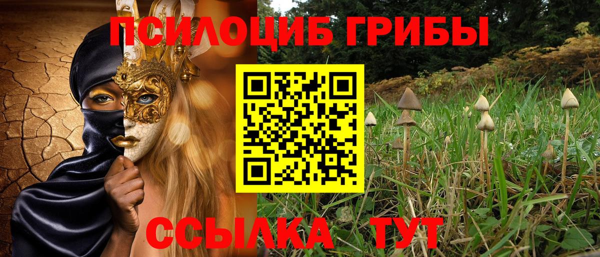 Златоуст  Галлюциногенные грибы мухоморы  Псилоцибиновые грибы ЛСД  Вход с VPN 
