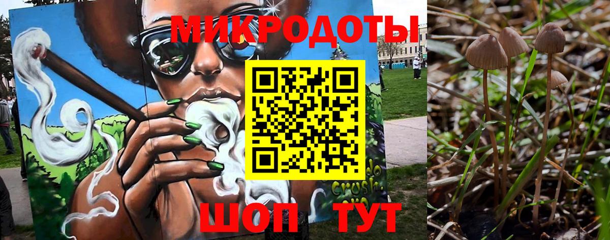 Псилоцибиновые грибы Cubensis Златоуст